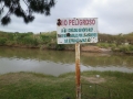 Doing fieldwork, Basin of the Carcarañá River 3